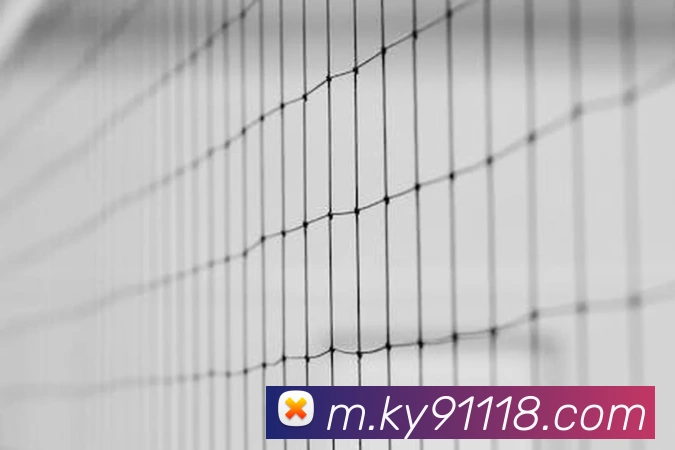 ky开云服务体系